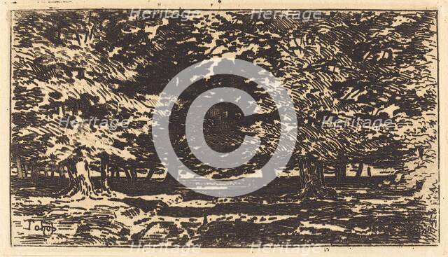 Forêt. Creator: Felix Hilaire Buhot.