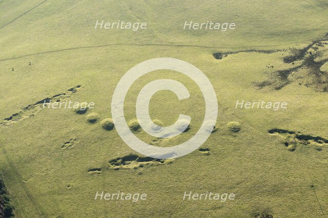 Ashen Hill barrow cemetery, Somerset, 2016. Creator: Damian Grady.