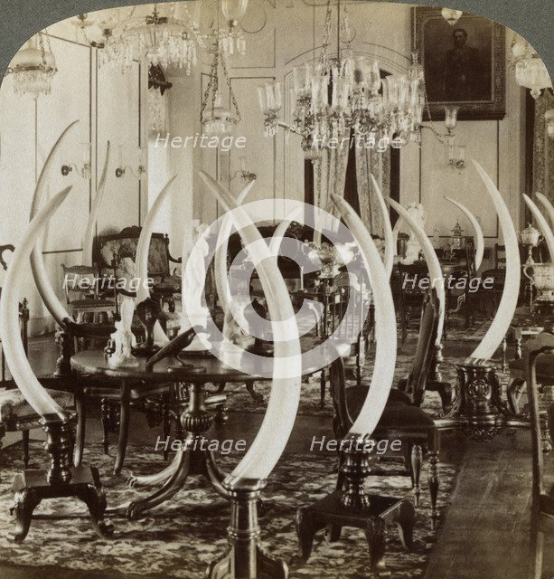 'Hall of Tusks,' in the home of Lady de Soysa, Bambalapitiya, Colombo, Ceylon, 1903. Artist: Underwood & Underwood