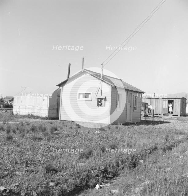 Housing for rapidly growing settlement of lettuce workers on fringes of town, Salinas, CA, 1939. Creator: Dorothea Lange.