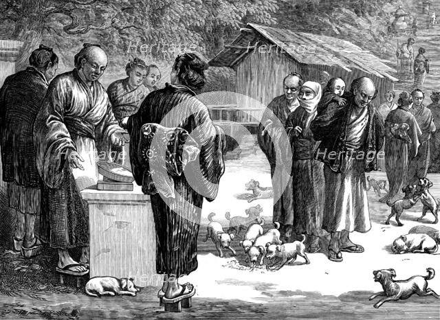 Sketches in Japan: feeding puppy-dogs at the Buddhist Temple of Oyama, 1873. Creator: Unknown.