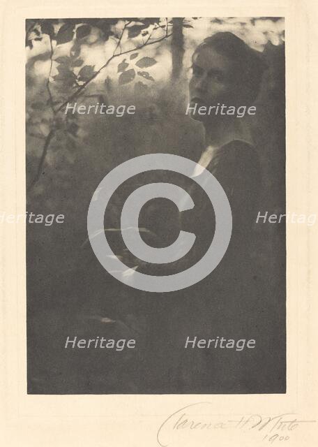 Edge of the Woods, Evening, 1900. Creator: Clarence H White.