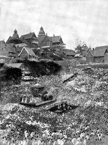 The Queen of Madagascar's Proclamation to her people, 1895. Creator: George Meisenbach.