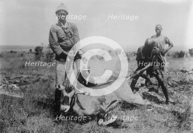 Antelope killed in Africa, between c1915 and c1920. Creator: Bain News Service.