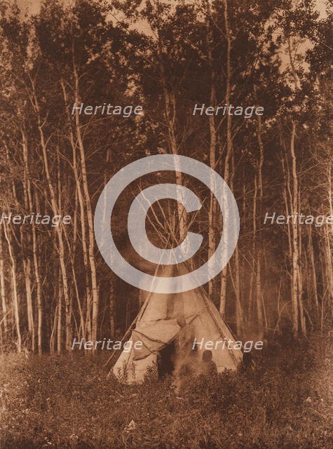 A Chipewyan Tipi among the Aspens, 1926. Creator: Edward Sheriff Curtis.