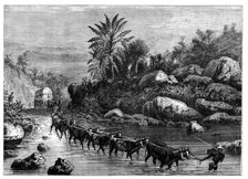 Travelling in Griqualand, South Africa, c1890. Artist: Unknown