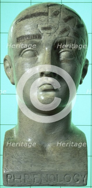Phrenological head, 19th century. Artist: Unknown