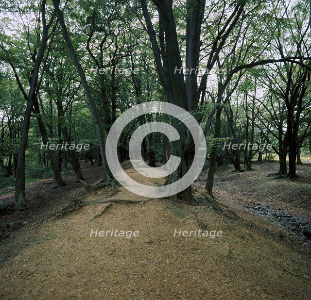 Ambersbury Banks Iron Age fort, 8th century BC. Artist: Unknown