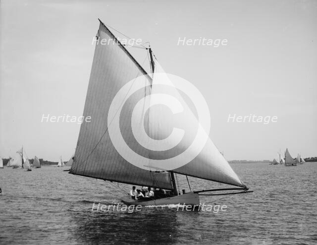 Sirene, 1891 July 11. Creator: John S Johnston.