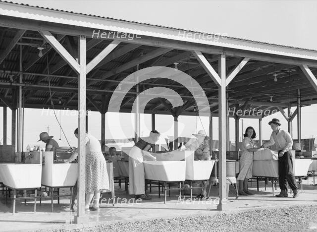 Laundry facilities in FSA camp for migrant labor, Westley, California, 1939. Creator: Dorothea Lange.