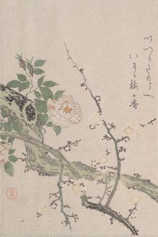 Roses and Plum Blossoms, 19th century. Creator: Kubo Shunman.