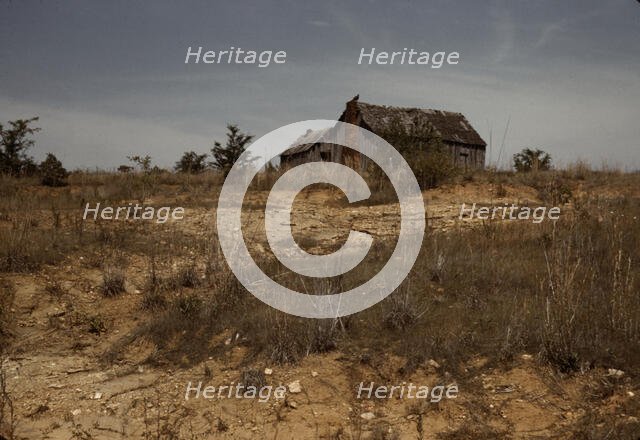 Cabin in Southern U.S., ca. 1940. Creator: Marion Post Wolcott.