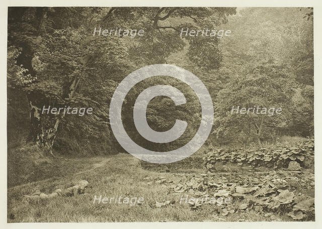 A Quiet Nook in Beresford Dale, 1880s. Creator: Peter Henry Emerson.