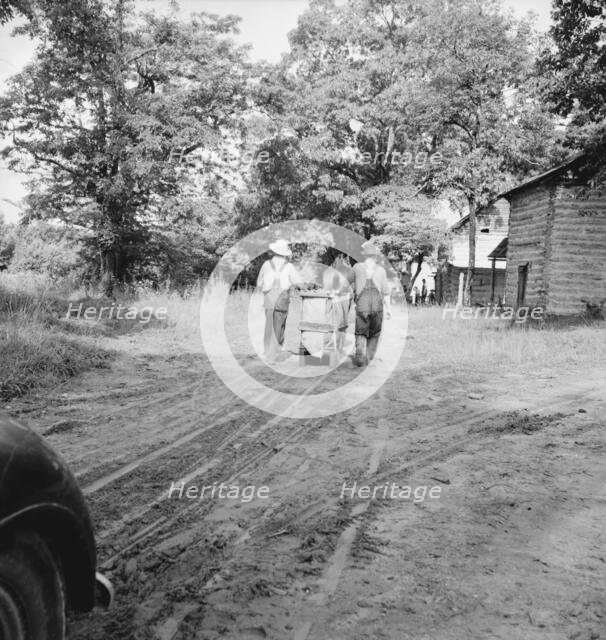 Mr. Taylor and wage laborer slide tobacco..., Granville County, North Carolina, 1939. Creator: Dorothea Lange.