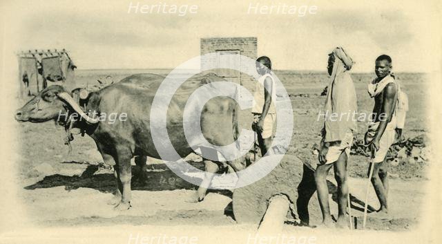 'Mixing Mortar', .  Creator: Unknown.