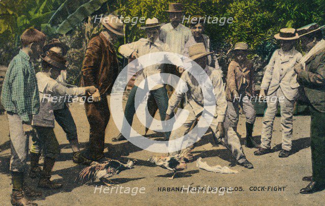 Habana. Rina de Gallos. Cock-fight, c.1900s. Artist: Unknown