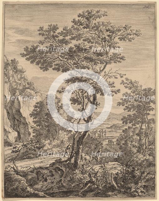 The Large Tree. Creator: Jan Dirksz Both.