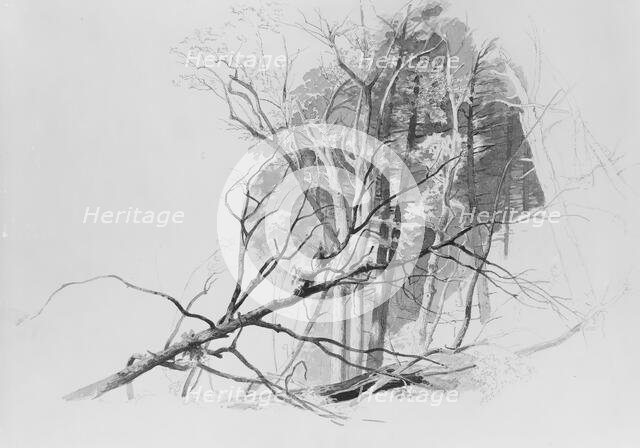 Forest Scene, . Creator: Johann Hermann Carmiencke.