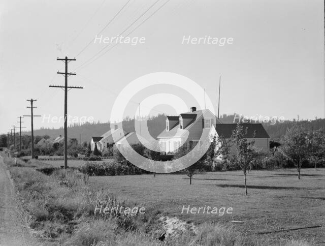 Down one street on Longview homestead project, Cowlitz County, Washington, 1939. Creator: Dorothea Lange.