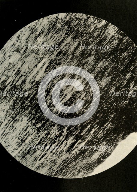 'Fossil Wood in Sandstone, from a Moraine in Latitude 85° South', c1908, (1909).  Artist: Unknown.