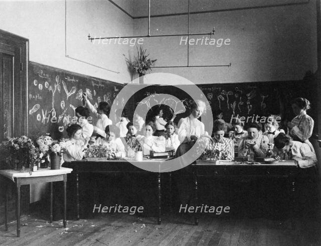 Group of young women studying plants in normal school, Washington, D.C., (1899?). Creator: Frances Benjamin Johnston.