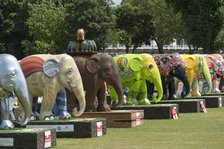 Elephant Parade, Royal Hospital, Chelsea, London, 2010. Artist: Derek Kendall.