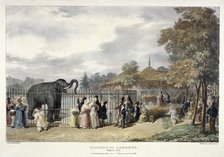 Zoological Gardens, Regent's Park, London, 1835.  Artist: George Scharf