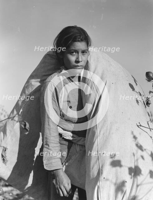 Mexican cotton picker, Southern San Joaquin Valley, California, 1936. Creator: Dorothea Lange.