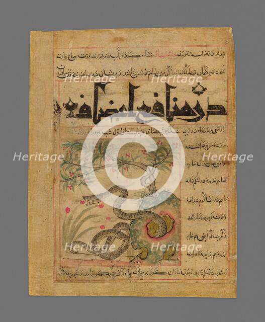 Viper in a Rocky Garden from Manafi' al-Hayawan (On the Usefulness of Animals) of Ibn..., c1300. Creator: Unknown.