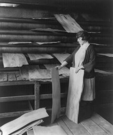Wooden box industry, c1910. Creator: Frances Benjamin Johnston.