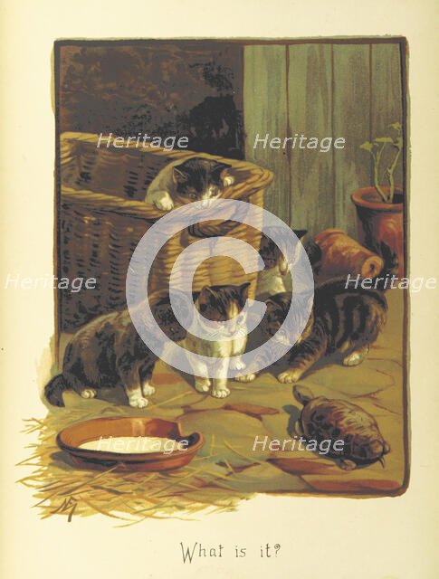 What is it?, 1893.  Creator: Fannie Moody.