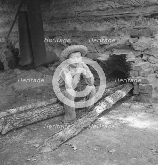 Ten year old son of tobacco sharecropper...tobacco..., Granville County, North Carolina, 1939. Creator: Dorothea Lange.