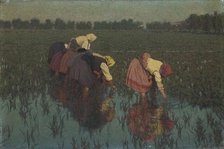 Rice workers, 1897. Creator: Morbelli, Angelo (1853-1919).