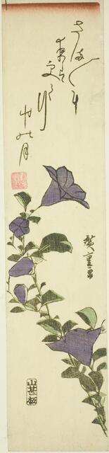 Chinese Bell Flowers, c. 1830s. Creator: Ando Hiroshige.