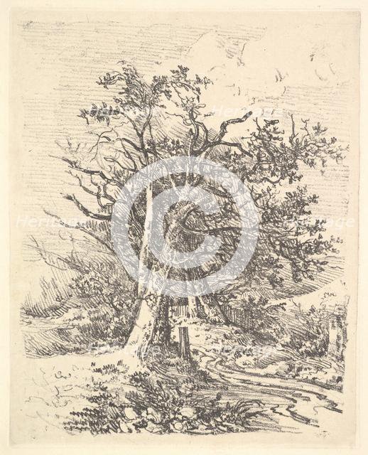 Tree Trunks and Lane, 1811-13. Creator: John Crome.