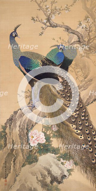 A Pair of Peacocks in Spring, 1901. Creator: Keinen, Imao (1845-1924).