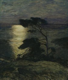 Pine Tree on the Coast in Moonlight, 1902. Creator: Thorolf Holmboe.