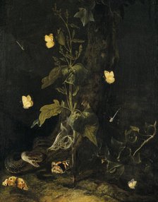 Serpent and Butterflies in the Woods, mid-17th century. Creator: Otto Marseus van Schrieck.