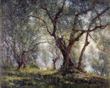 Olive trees in Menton, 18–07–1918. Creator: Henry Brokman.