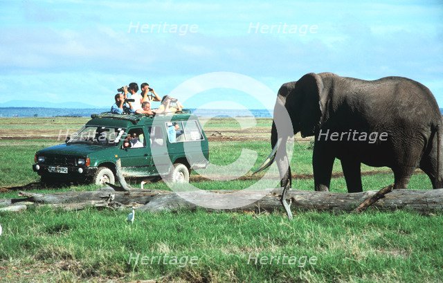 Elephant and safari van, Kenya.