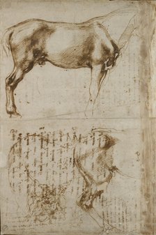 Studies of a Horse and of a Horseman attacking Foot-soldiers, early 16th century. Artist: Michelangelo Buonarroti.