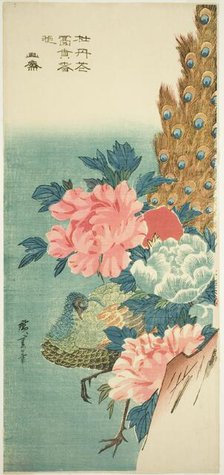 Peacock and peonies, 1830s. Creator: Ando Hiroshige.