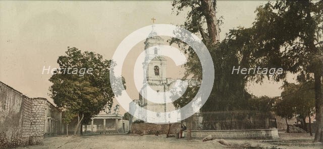 The tree of Noche Triste, Popotla, between 1884 and 1900. Creator: William H. Jackson.