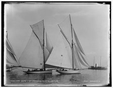 Start, second class, Dorchester regatta, 1888 June 18. Creator: Unknown.