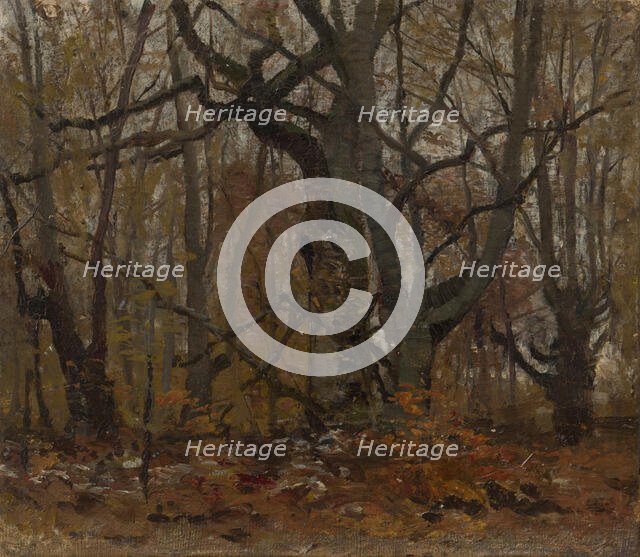 Autumn Forest, 1890-1900. Creator: Ladislav Mednyanszky.