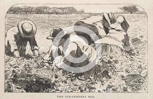 The Strawberry Bed, 1868. Creator: Winslow Homer (American, 1836-1910).