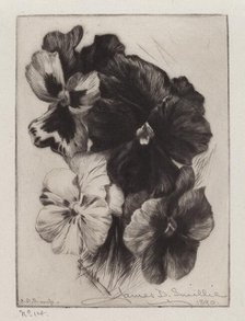 A Bunch of Pansies, 1890. Creator: James David Smillie.