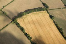 Large, likely prehistoric, enclosure crop mark, near Churchstanton, Somerset, 2018. Creator: Historic England Staff Photographer.