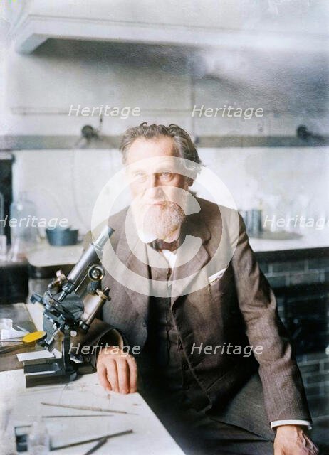 Elie Metchnikoff, between c1910 and c1915. Creator: Bain News Service.