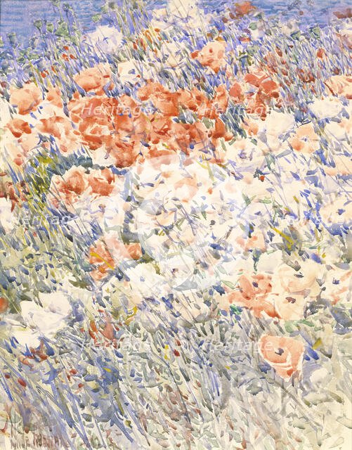 The Island Garden, 1892. Creator: Frederick Childe Hassam.